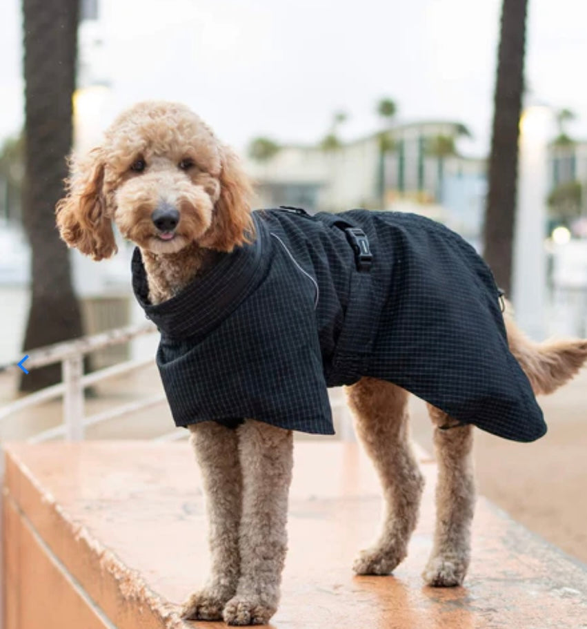 Canada Pooch-Complete Coverage- Black Reflective