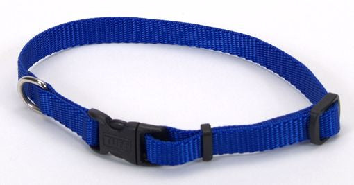 Coastal Collar- XSmall 8”-12” Blue