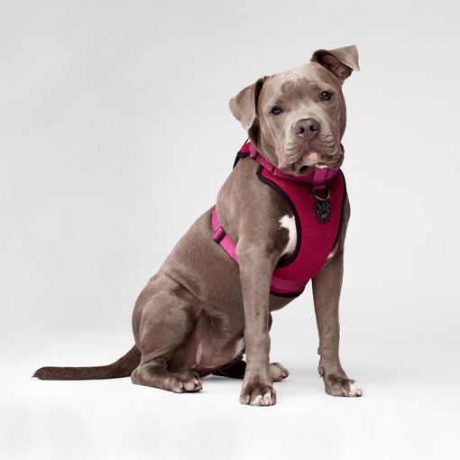 Canada Pooch Everything Harness -Pink