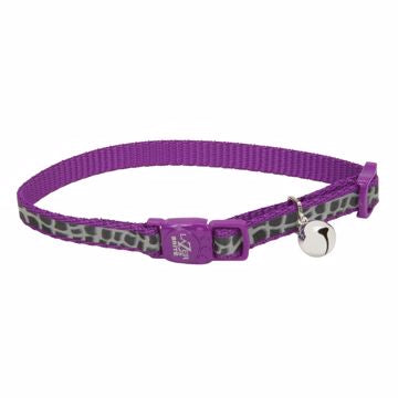 Coastal Laser Brite Cat Collar 3/8 in.