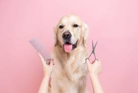 Grooming