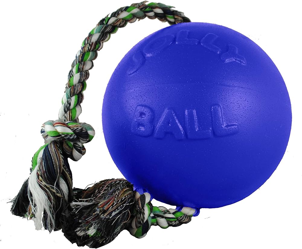 Jolly Pets Romp and Rope Purple