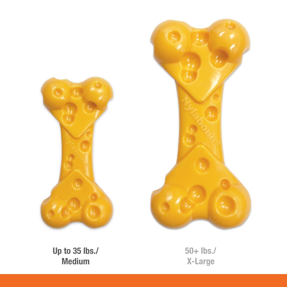 Nylabone Dura Chew Cheese Bone