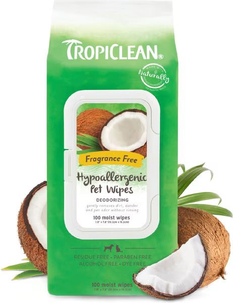 Hypoallergenic Deodorizing Wipe - 100 Ct