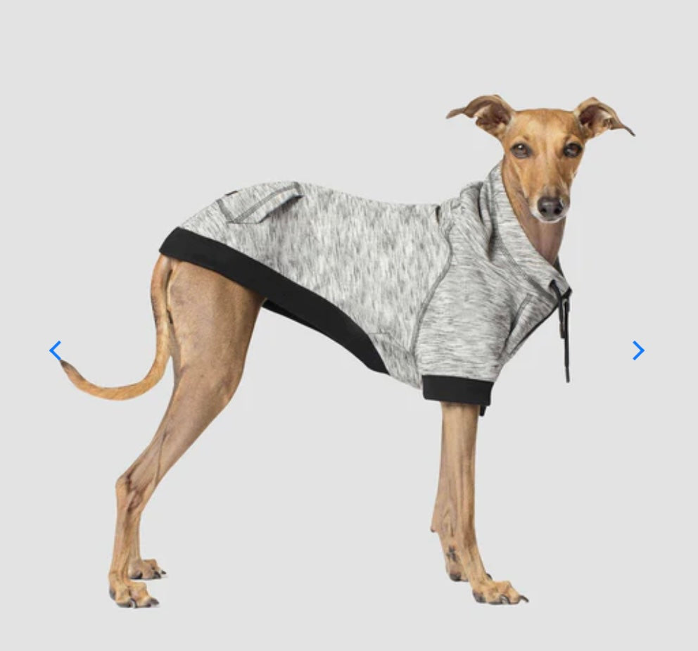 Canada Pooch-Hero Hoodie Grey Mix
