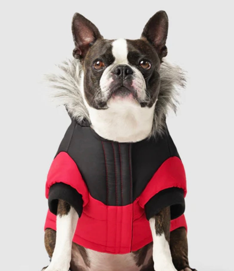 Canada Pooch-True North Parka-Red