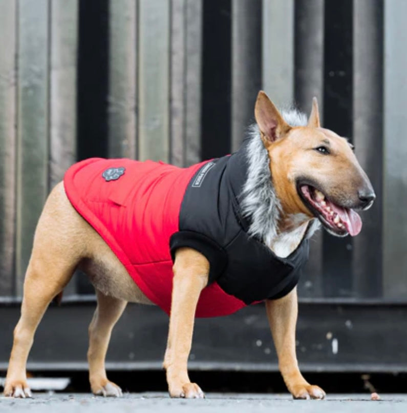 Canada Pooch-True North Parka-Red