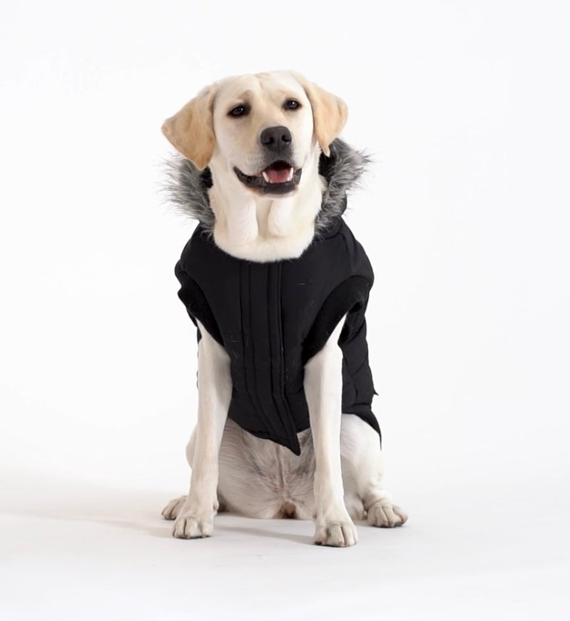 Canada Pooch-True North Parka-Red
