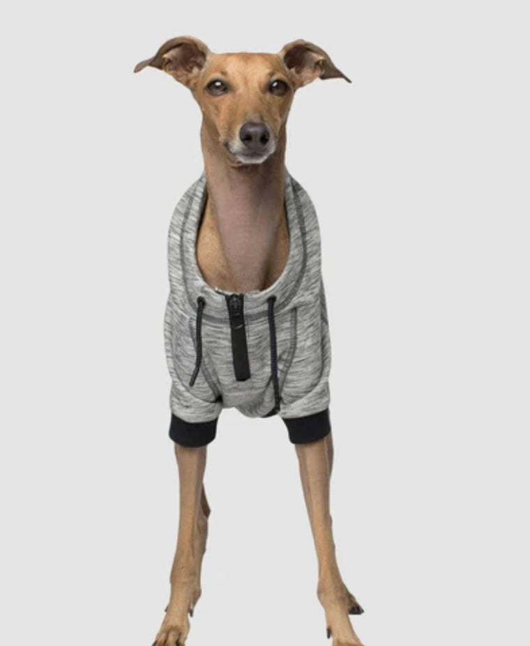 Canada Pooch-Hero Hoodie Grey Mix