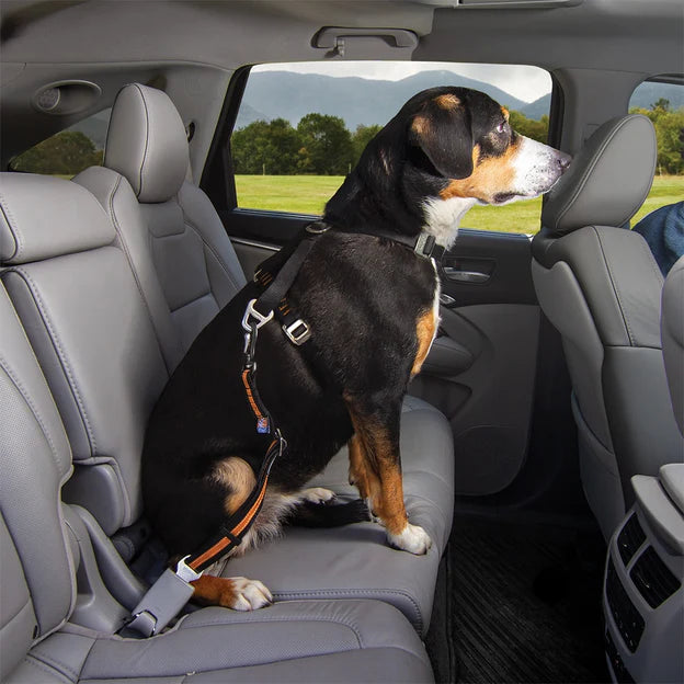 Kurgo Direct to Seatbelt Tether