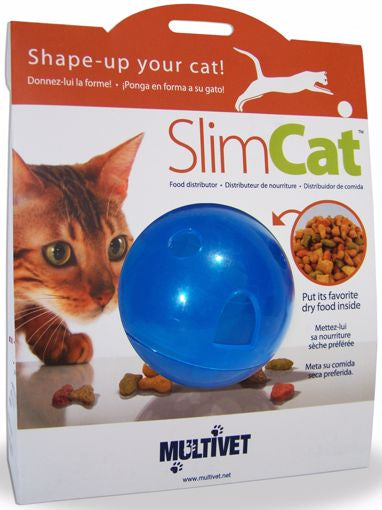 Slim Cat Puzzle Toy-Blue