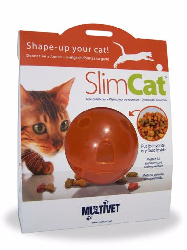 Slim Cat Puzzle Treat Toy-Orange