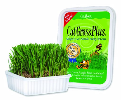 Cat About by Miracle Care Cat Grass Plus - 150 grams