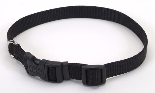 Coastal Collar - Medium 14”-20” Black