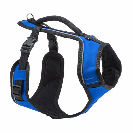 EasySport Dog Harness Medium Blue