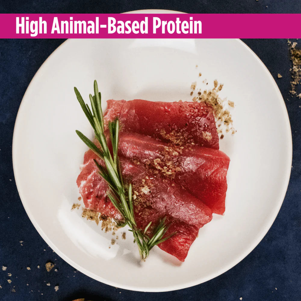Nulo Freestyle Cat Grain Free-Trout/Salmon 5.5oz.
