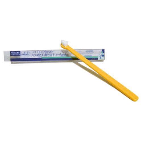 Pet Toothbrush Assorted Colors