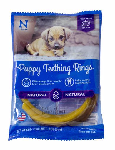 N-Bone Puppy Teething Rings - Pumpkin