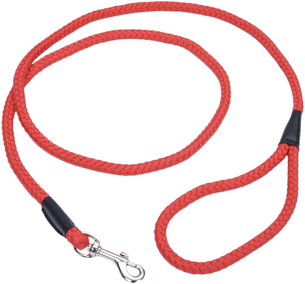 Coastal Braided Leash 6’ Red