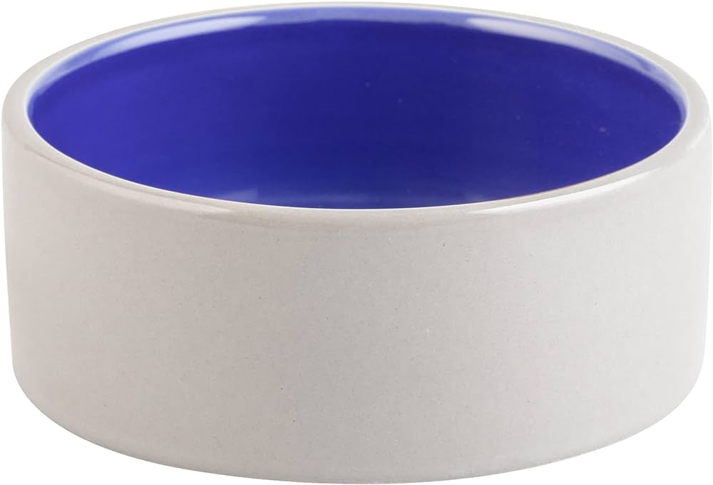 Crock Dog Dish 5 in