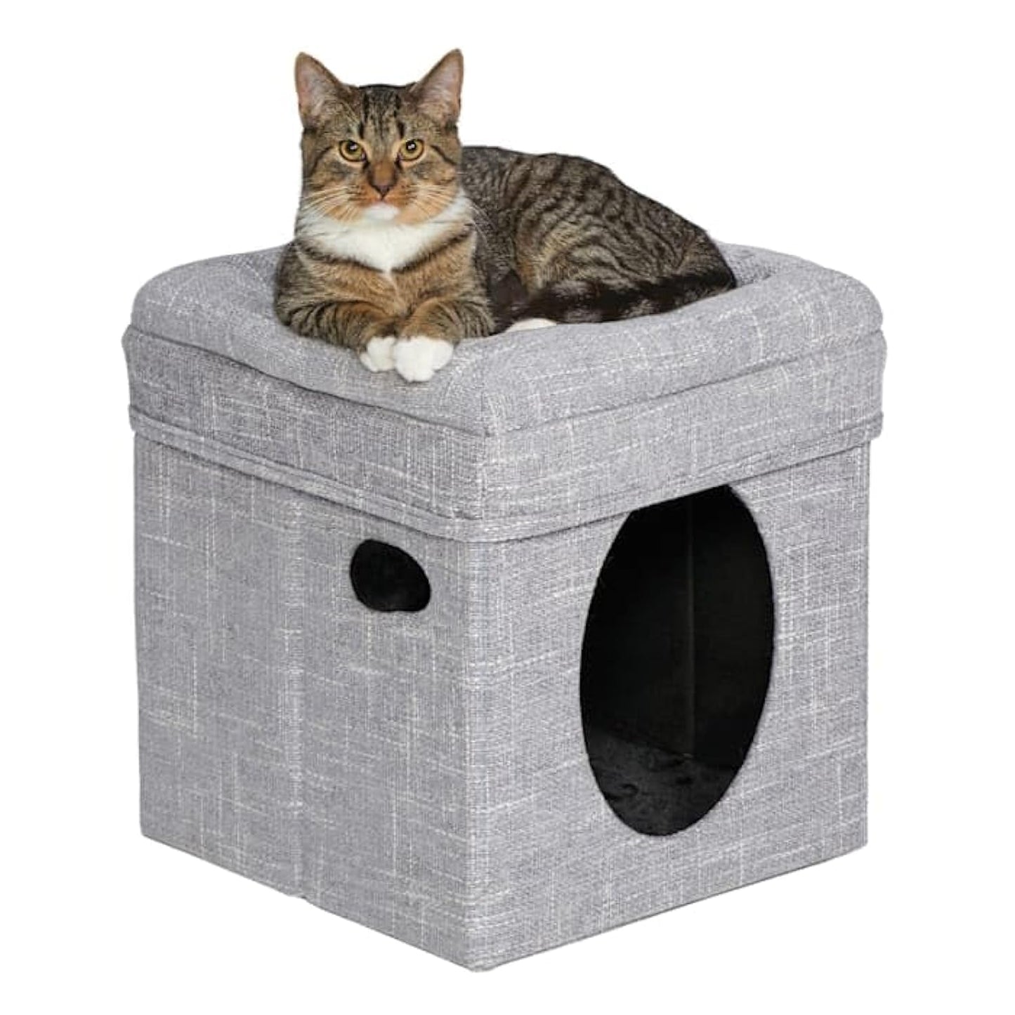 Curious Cat Tube - Silver Mesh