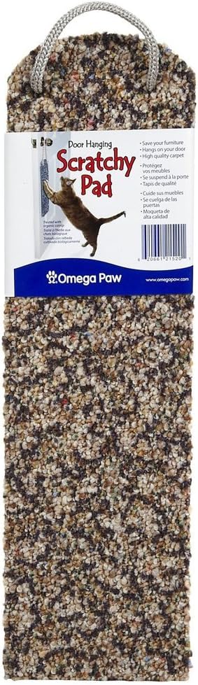 Door Hanging Scratch Pad