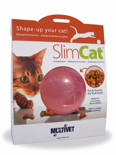 Pet Safe Slimcat-Pink