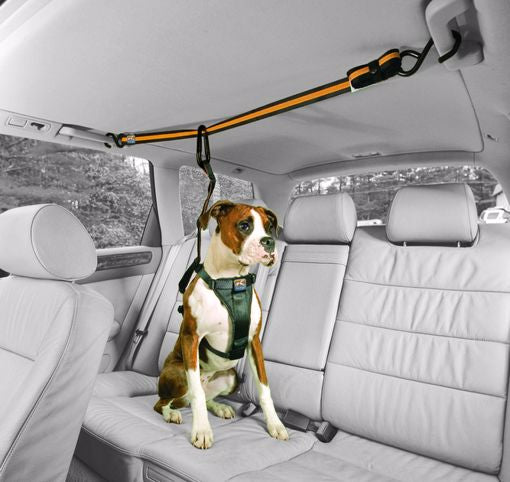 Kurgo Auto Zip Line/Fits All Vehicles
