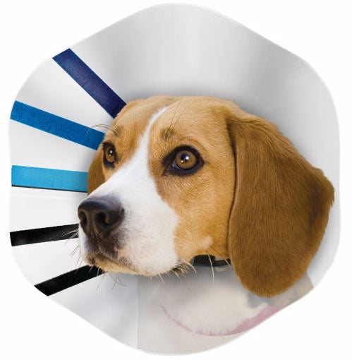 Kong EZ Clear Collar-Large 10-13in
