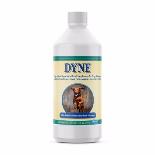 Pet Ag Dyne High Calorie Liquid Nutritional Supplement for Dogs & Puppies 8 Weeks and older 16 oz