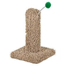 Kitty Cactus W/Pom-Pom - Furniture - 16in.