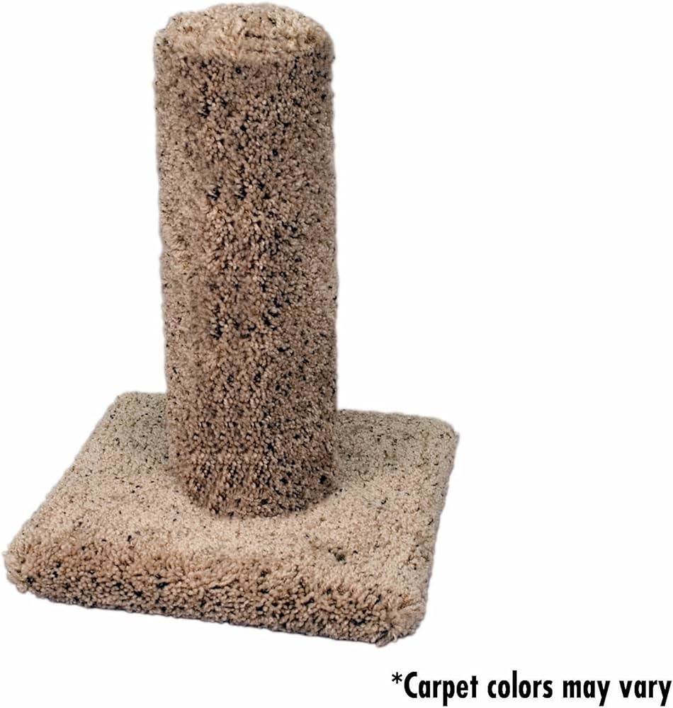 Kitty Catcus 18in.