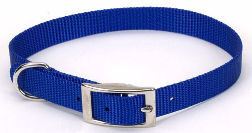 Coastal Collar Blue