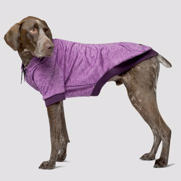 Canada Pooch-Hero Hoodie Purple Mix