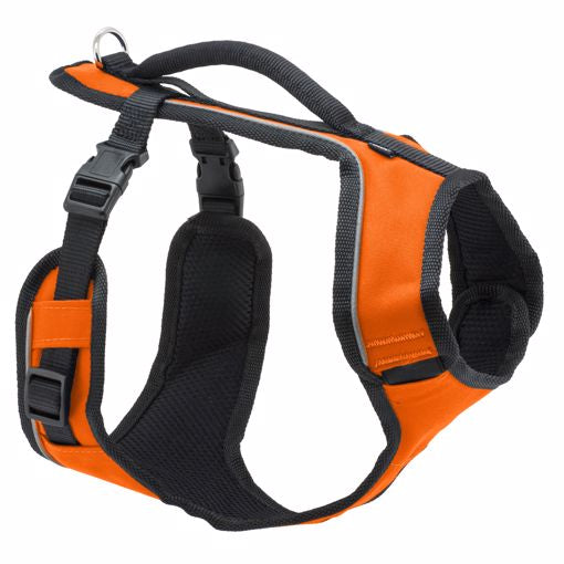 Easysport Harness Medium - Orange