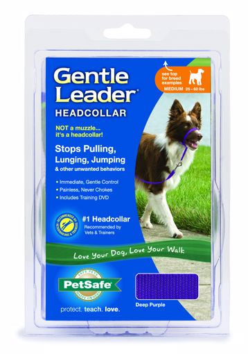 Md Gentle Leader Purple