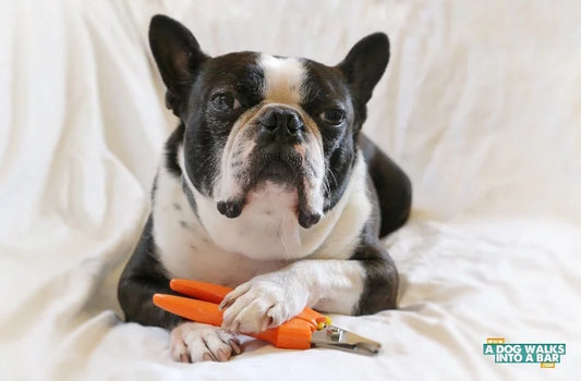 Nail Trim- Appointment