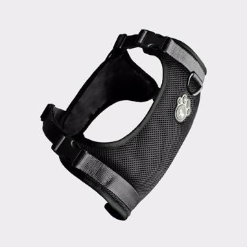 Canada Pooch-Everything Harness-Black