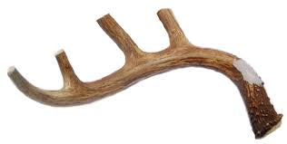 Deer Antler Large