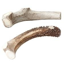 Deer Antler Small