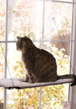Cat Window Lounger 12 in. X 23 in.