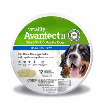 Vetality Avantect ll Flea & Tick Collar up to 26in. - Dog