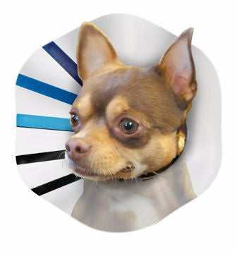 Kong EZ Clear Collar - Small 6.5-8in.