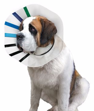 Kong EZ Clear Collar 2XL 16-21in
