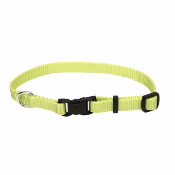 Coastal Nylon Collar Snap Buckle Lime XS 8-12”