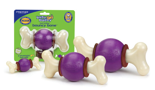 Pet Safe Treat Holding Bouncy Bone - Md