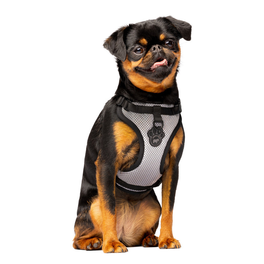 Canada Pooch Everthing Harness Medium Reflective
